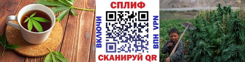 цена   гидра как войти  Cannafood марихуана  Кировск 
