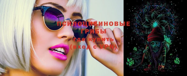 ПСИЛОЦИБИНОВЫЕ ГРИБЫ Покачи