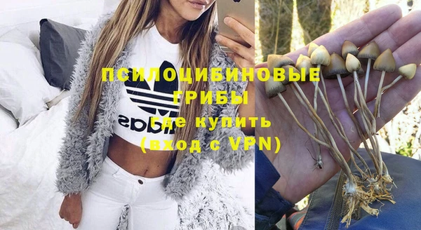 трава Новочеркасск