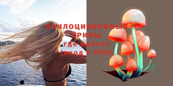 ПСИЛОЦИБИНОВЫЕ ГРИБЫ Покачи
