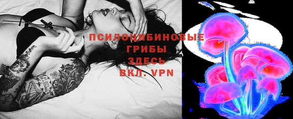 ПСИЛОЦИБИНОВЫЕ ГРИБЫ Покачи