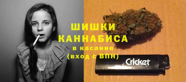 ПСИЛОЦИБИНОВЫЕ ГРИБЫ Покачи