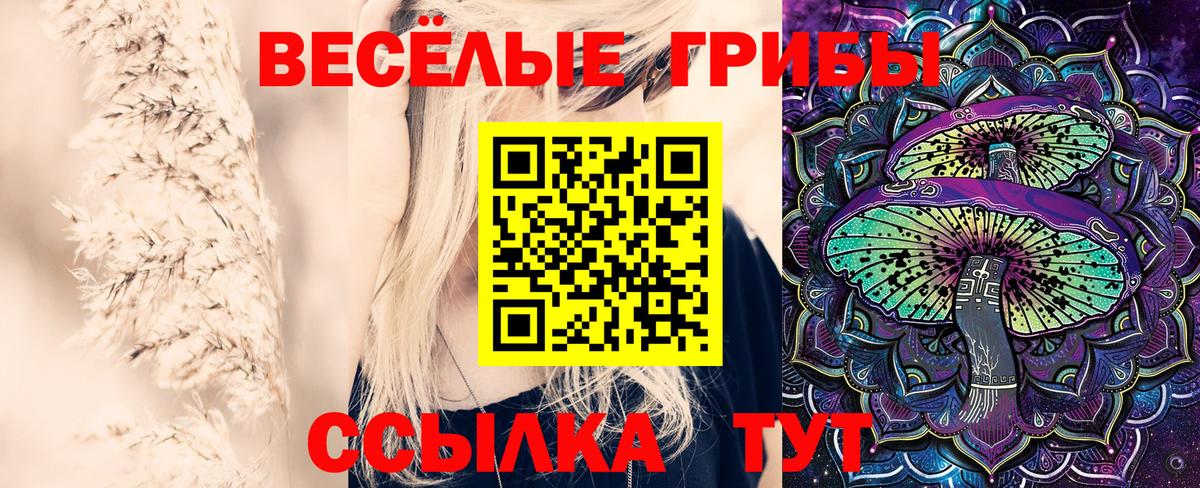 Псилоцибиновые грибы прущие грибы  Кировск 