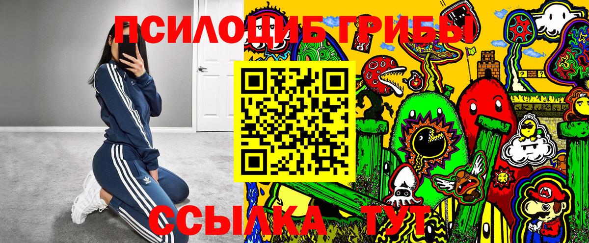 Псилоцибиновые грибы прущие грибы Кировск