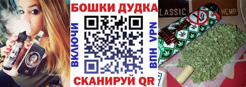 Марихуана сатива  Кировск 